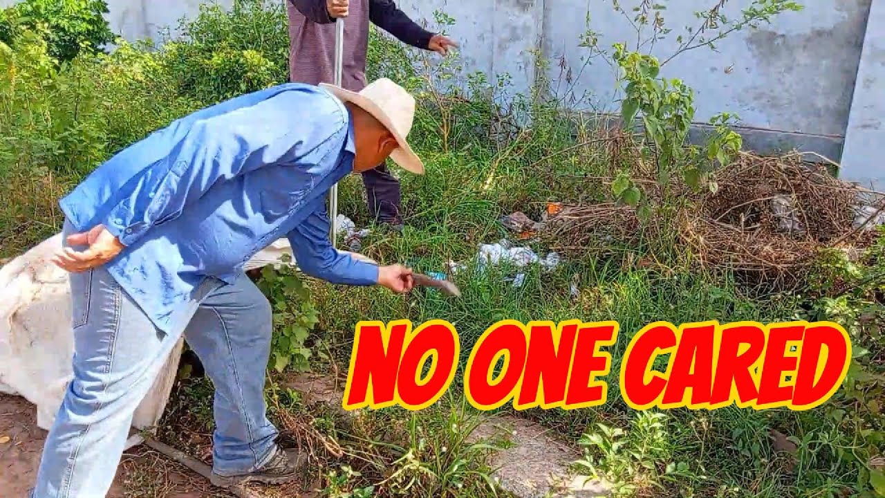 They Said This Roadside Was Useless… Look What I Did