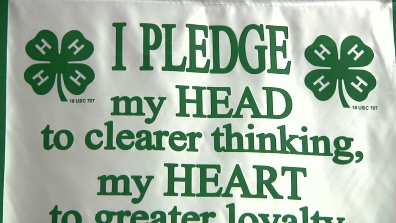 4-H Club Teaches Children Life Skills