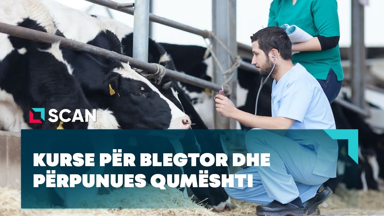 Kurse p&euml;r blegtor dhe p&euml;rpunues qum&euml;shti