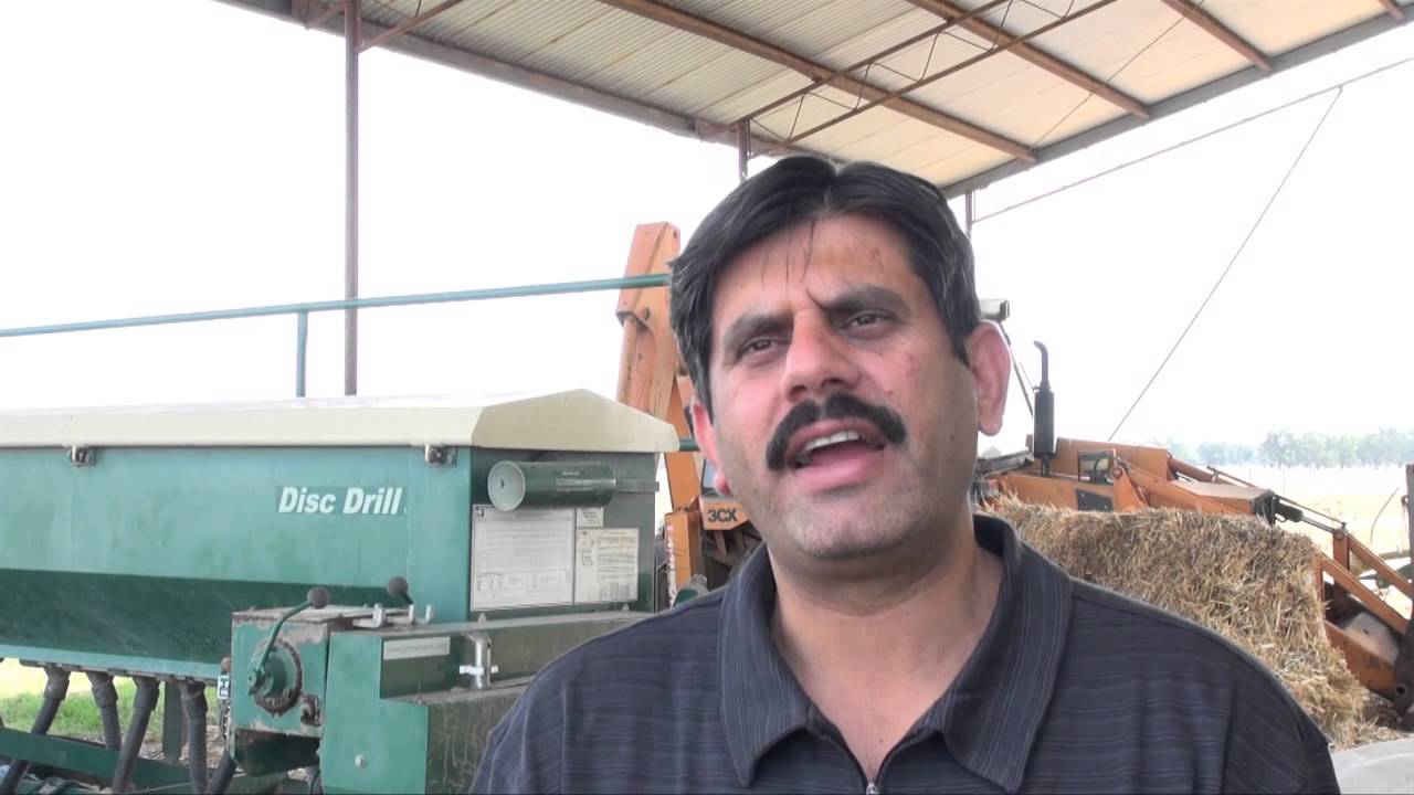 Strengthening dairy value chains in Pakistan