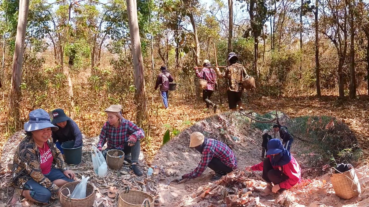 ເລາະຫ້ວຍຫາຂົວຂຽດຊາຍ🇱🇦เลาะห้วยหาขัวเขียด