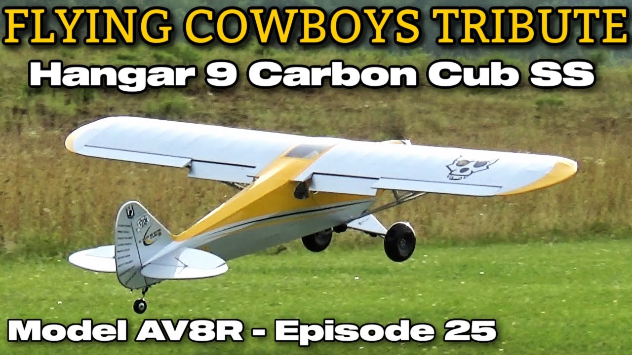 Hangar 9 Carbon Cub 15cc ARF, 90