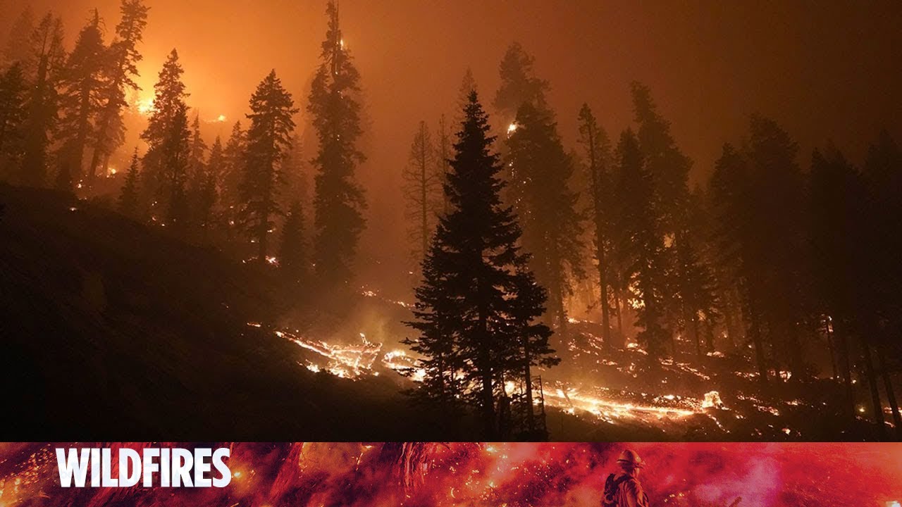 Weather slows California fire, but flames keep moving towards Lake Tahoe
