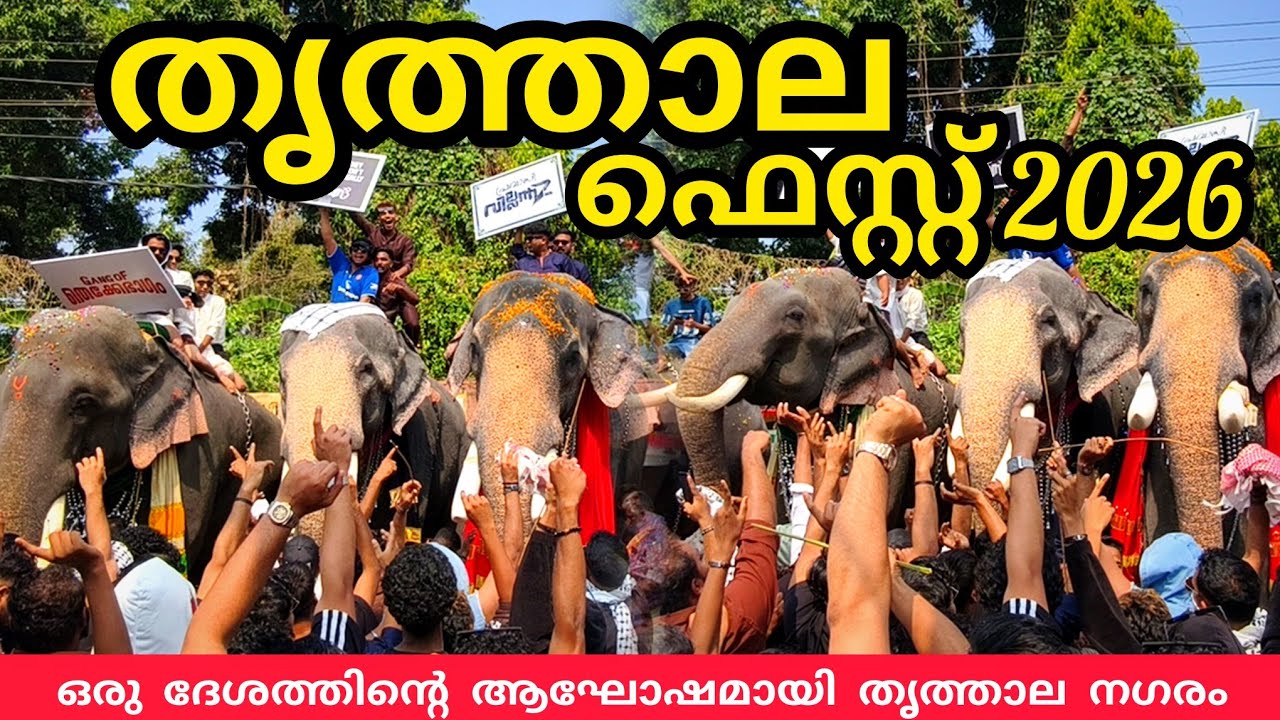 തൃത്താല ഫെസ്റ്റ് 2026 നാടും നഗരവും ആഘോഷത്തിമിർപ്പിൽ #thrithala #lathevlogs #viral #elephant #nercha 
