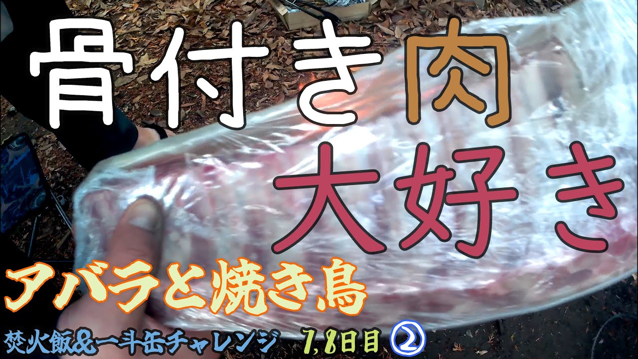 自然の中で食う焼き鳥とバックリブのウマさよ【キャンプ・camping】《骨付き肉》【焚火/campfire】
