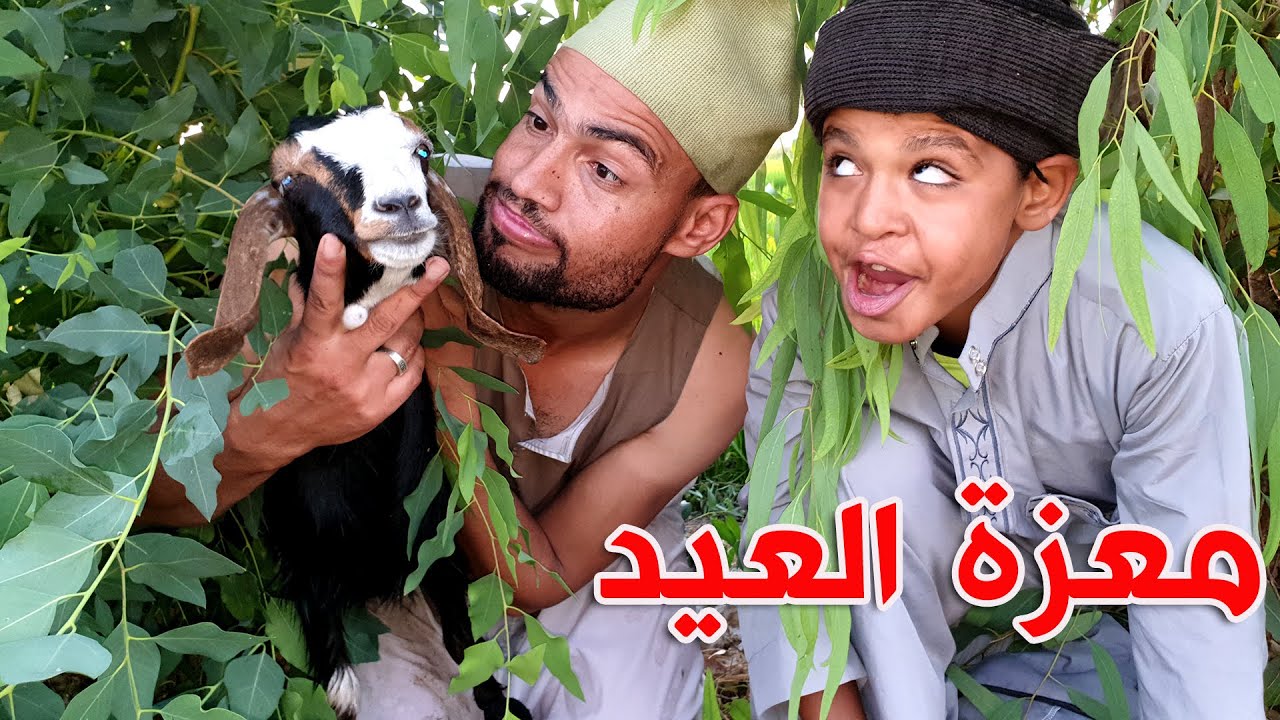 الحاج بسيونى يسرق اضحية العيد وياكلها هو وذوقلة ويضحك على الحاج هارون وفزاع
