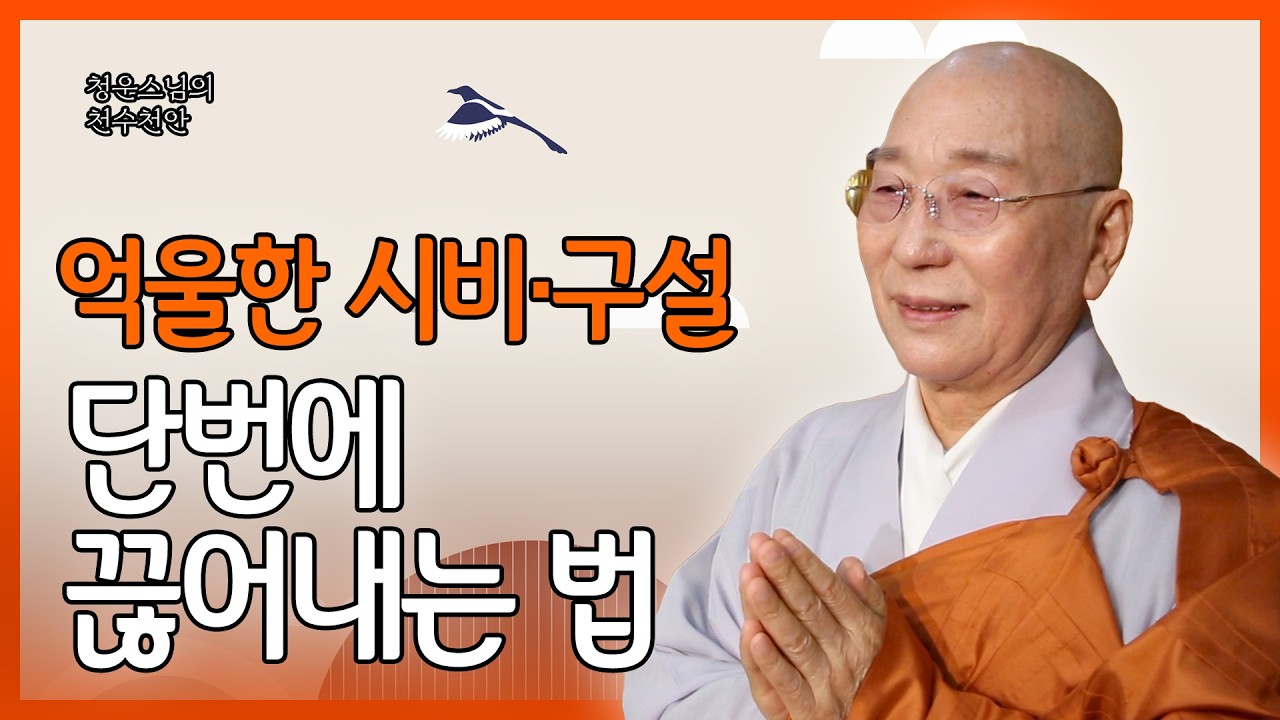 [#청운스님] 살다 보면 겪는 억울한 일, 시비와 구설에서 나를 지키는 실전 대처법 | 천수천안 293회