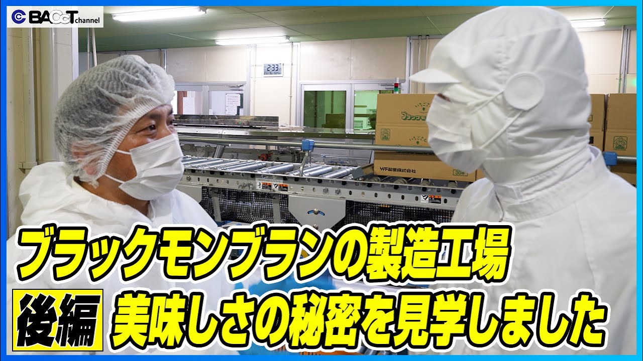 【ブラックモンブランができるまで】アイスクリーム工場の製造について見学しました【竹下製菓/工場見学後編】