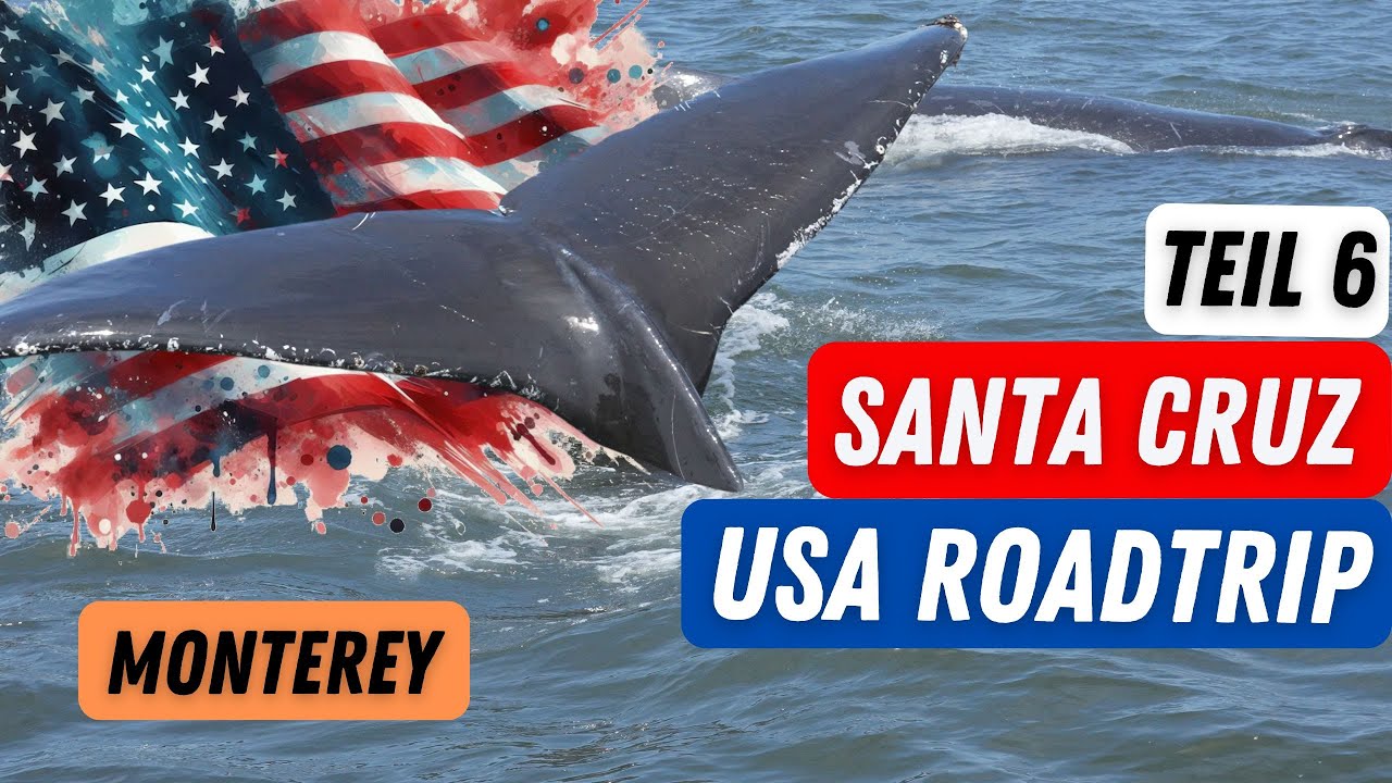 #006 USA 17 Mile Drive Monterey Whale Watching Vlog