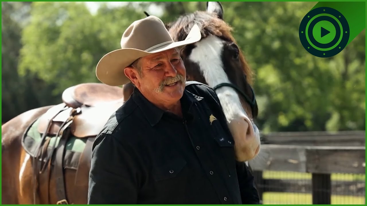 Pat Parelli's Best Horse Training Techniques