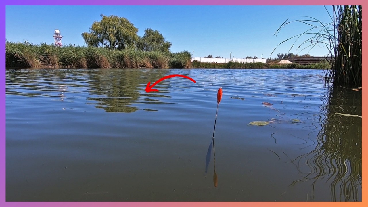 🌞 Pescuit, Natura si Aventura in Delta Dunarii - Sulina