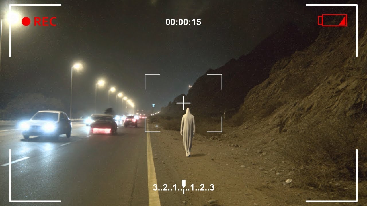 They Aren't Folklore Anymore: Real Cryptids Spotted in 2025