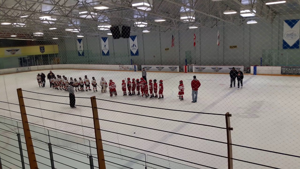 Bay Harbor Red Wings Squirt Presidents Day Champions