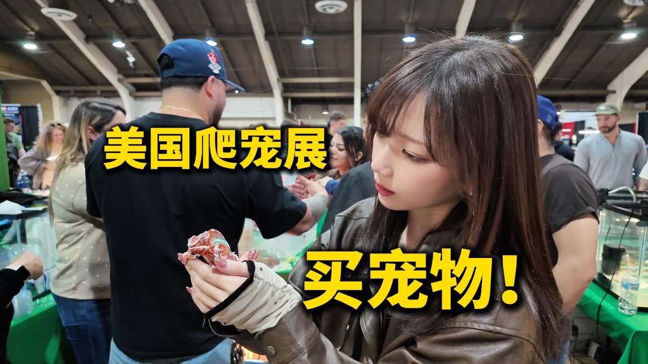 日本老婆来逛美国的爬宠展，不买点东西别想回去！#vlog #reptiles #reptileshow