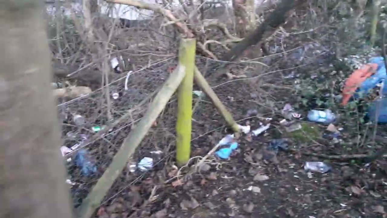 Peterborough Clean Up Campaign. Brotherhoods Roundabout Footbridge.