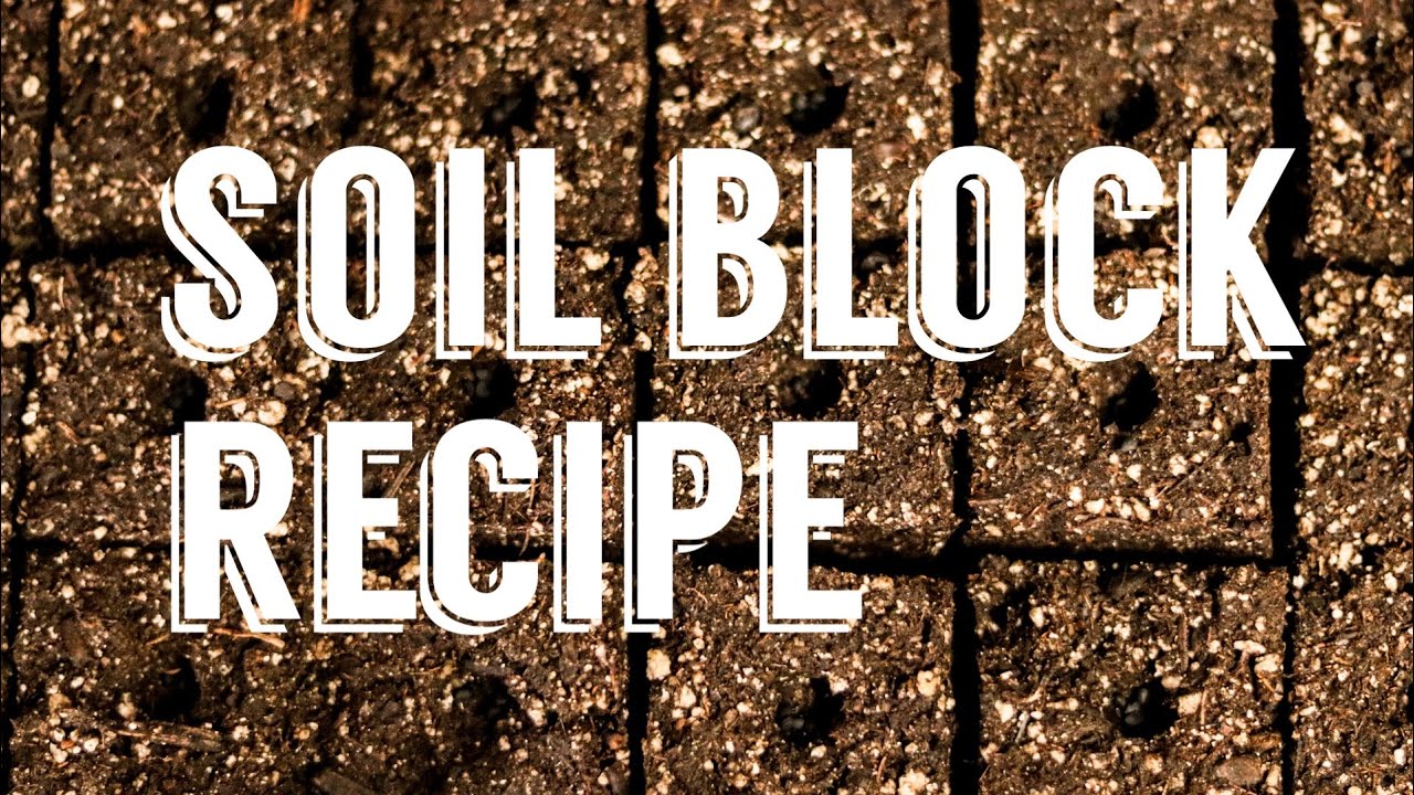 Start seeds without plastic! | Soil Blocks  | Eliot Coleman&rsquo;s Recipe