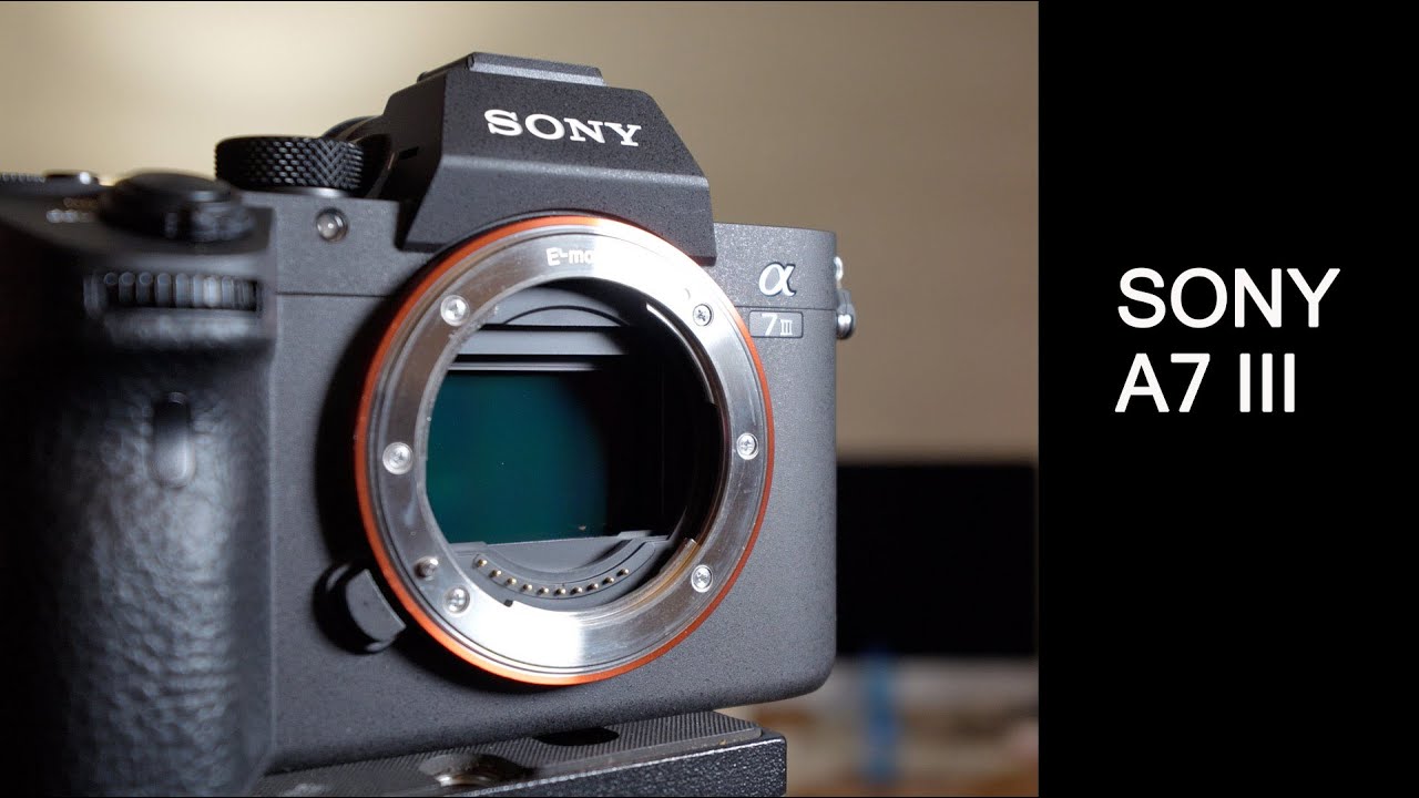 Sony A7 III buona la terza ! full test