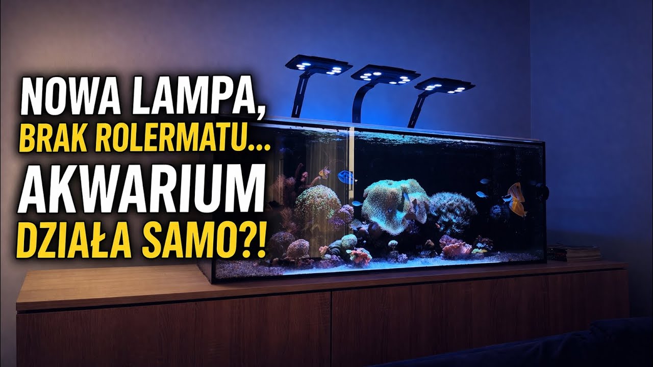WYŁĄCZYŁEM ROLERMAT ,NOWY MAXSPECT AKWARIUM DZIAŁA SAMO?! #akwariummorskie #akwarium 