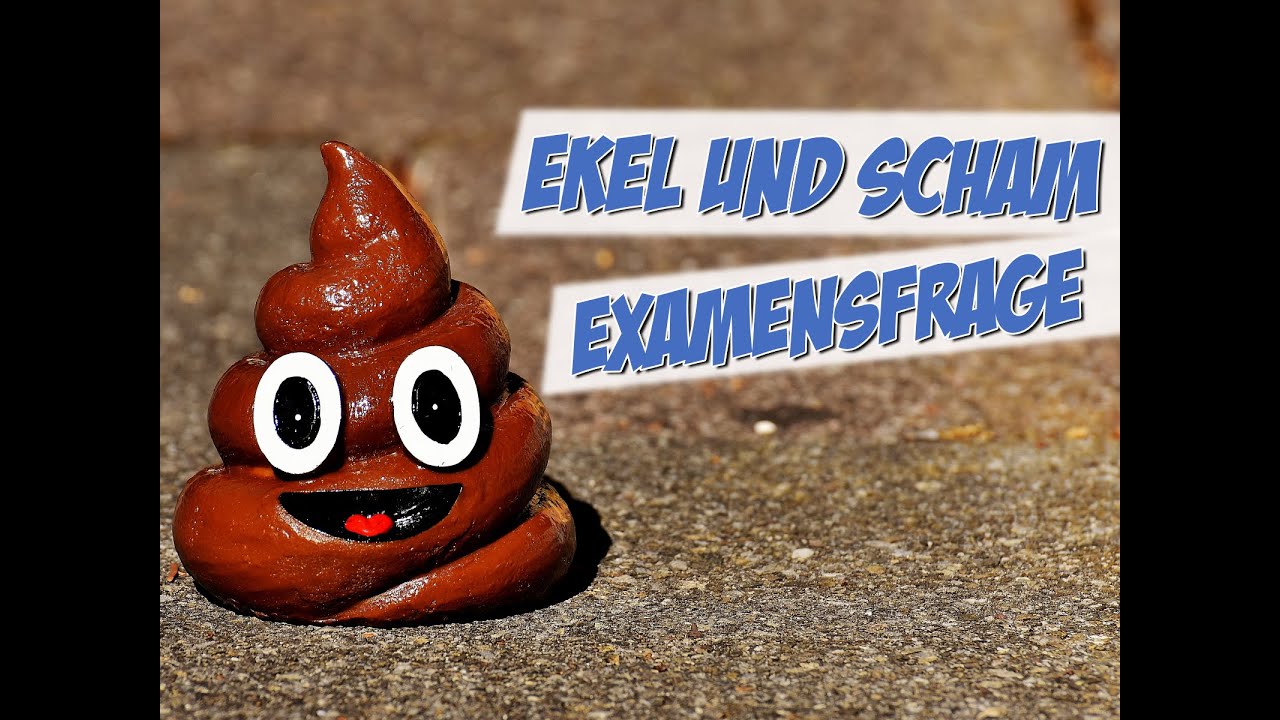 Gemeinsamkeiten von Scham und Ekel | Examensfrage | Pflege Kanal