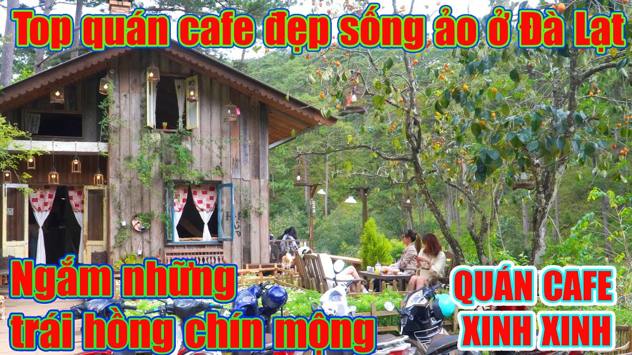 Đà Lạt TOP Quán Cafe View SIÊU ĐẸP MỚI XINH checkin vườn hồng
