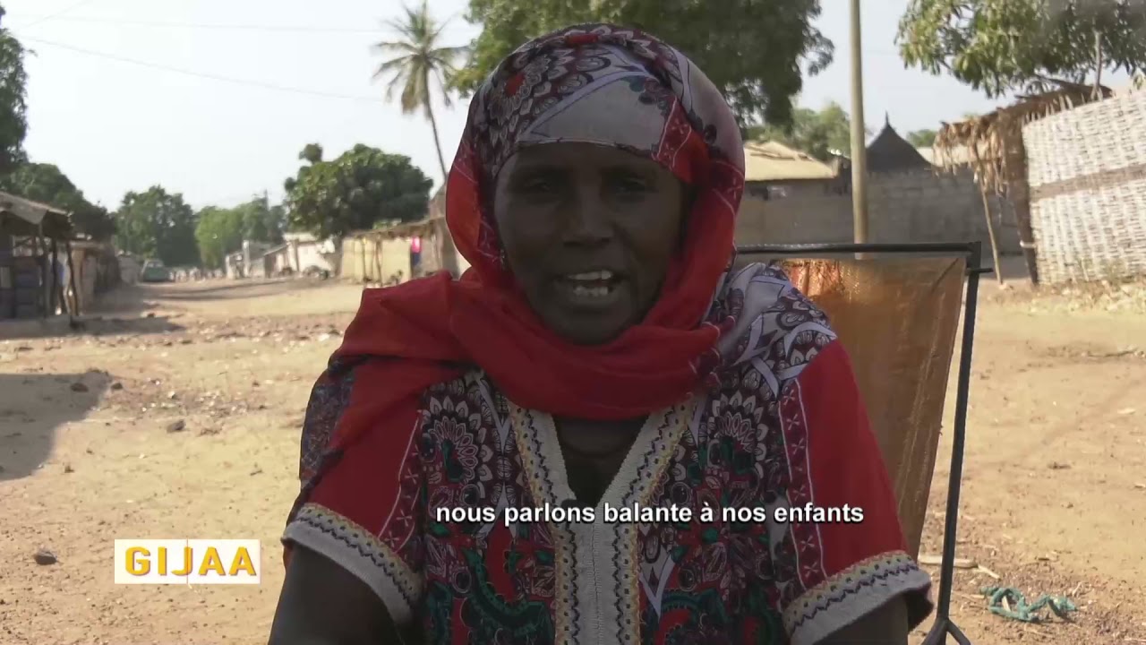 La déperdition de la langue balante dans certains villages du Brassou et du Boudhié /région Sédhiou
