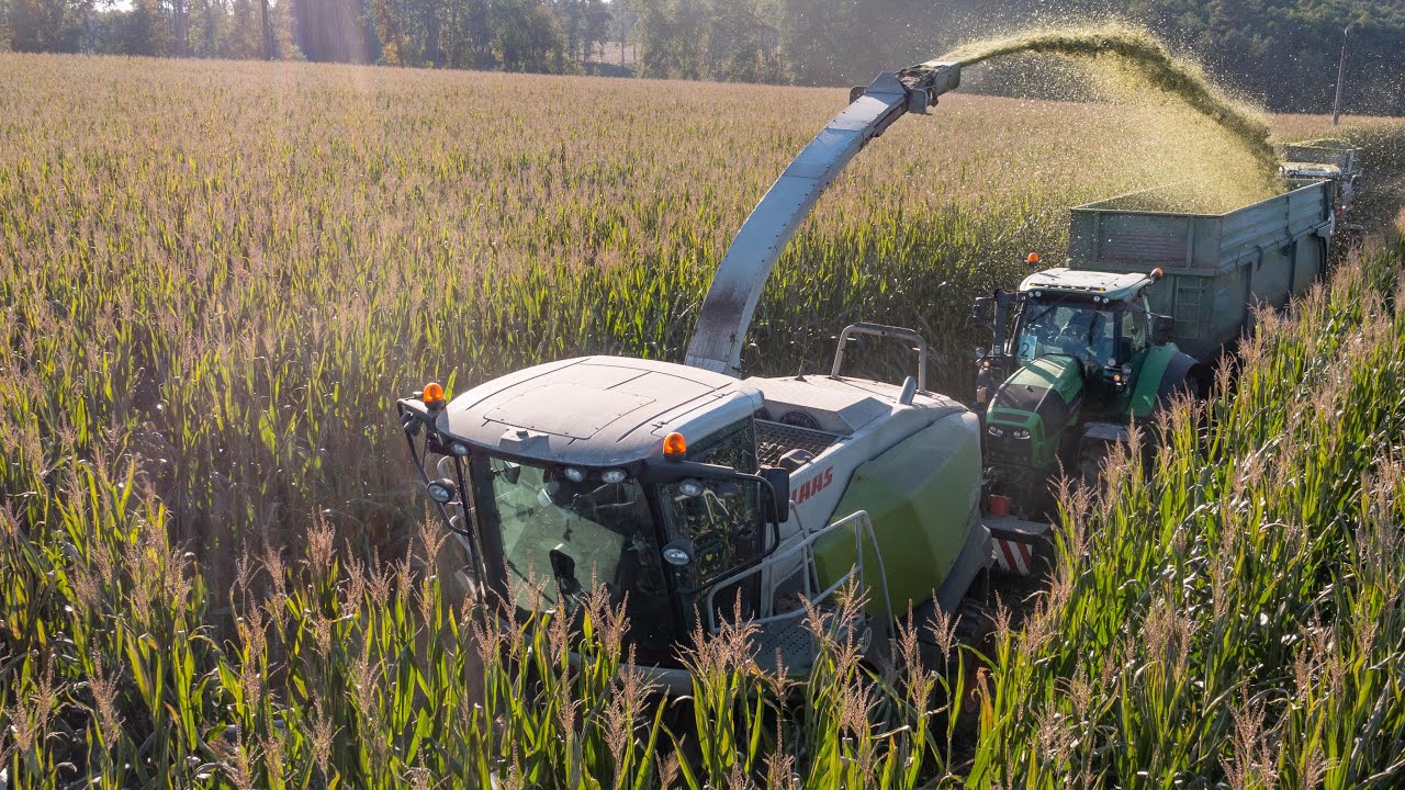 Silage in Závitkovice | Claas Jaguar 860 | Black and green Deutz-Fahr