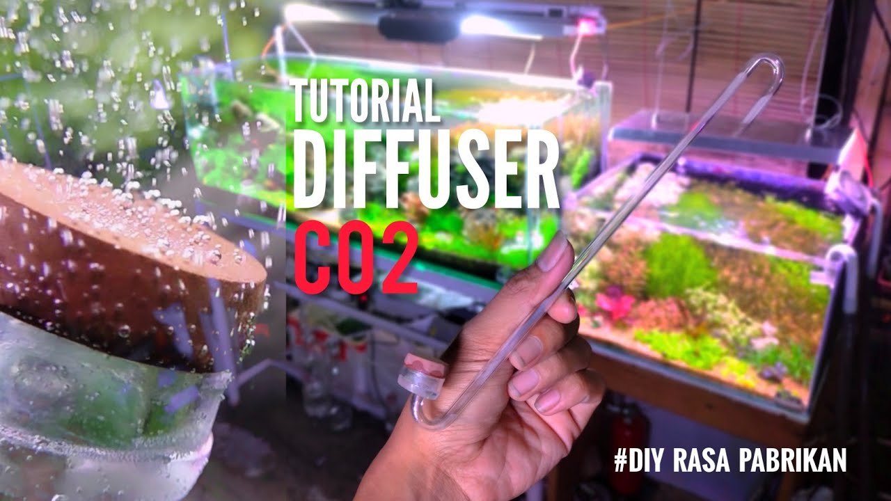 Tutorial Diffuser Co2 - DIY rasa PABRIKAN