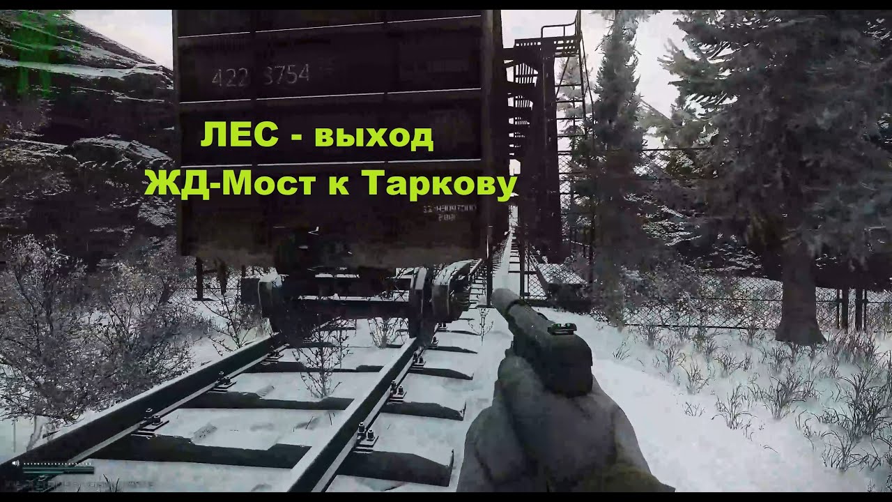 выход жд-мост к Таркову (лес)