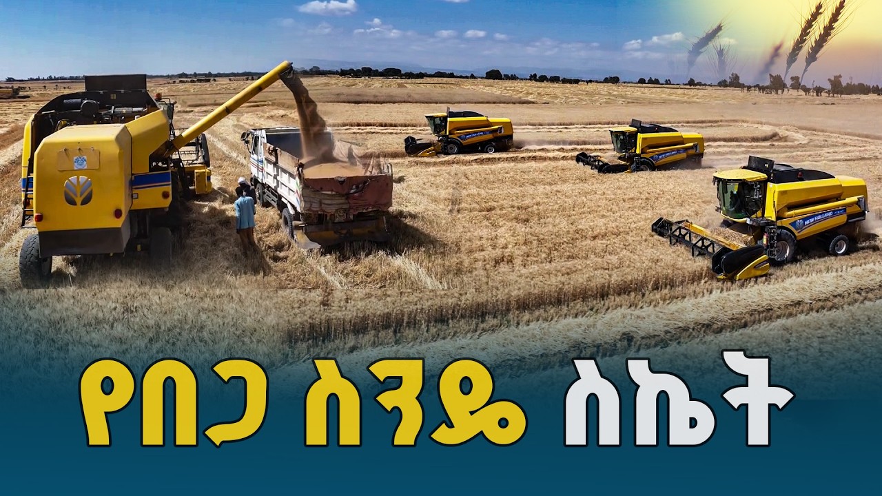 ኢትዮጵያ የምግብ ሉዓላዊነቷን እና ምርታማነትን ለማረጋገጥ ከምትሠራቸው ሥራዎች መካከል የመስኖ ልማት አንዱ ነው - አባዲ ወይናይ