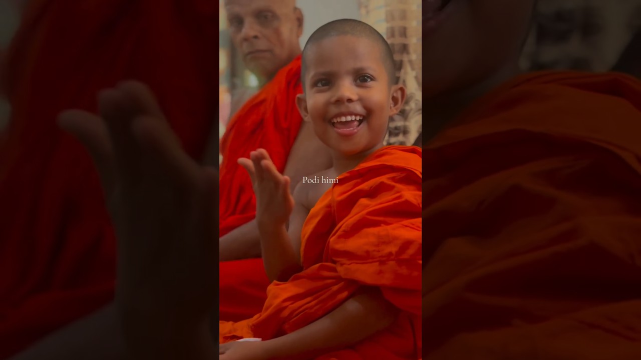 Ape Podi Sadu🙏 | අපේ පොඩි සාදු #buddha #buddhism #cool #happy #world #india #fypシ #tranding