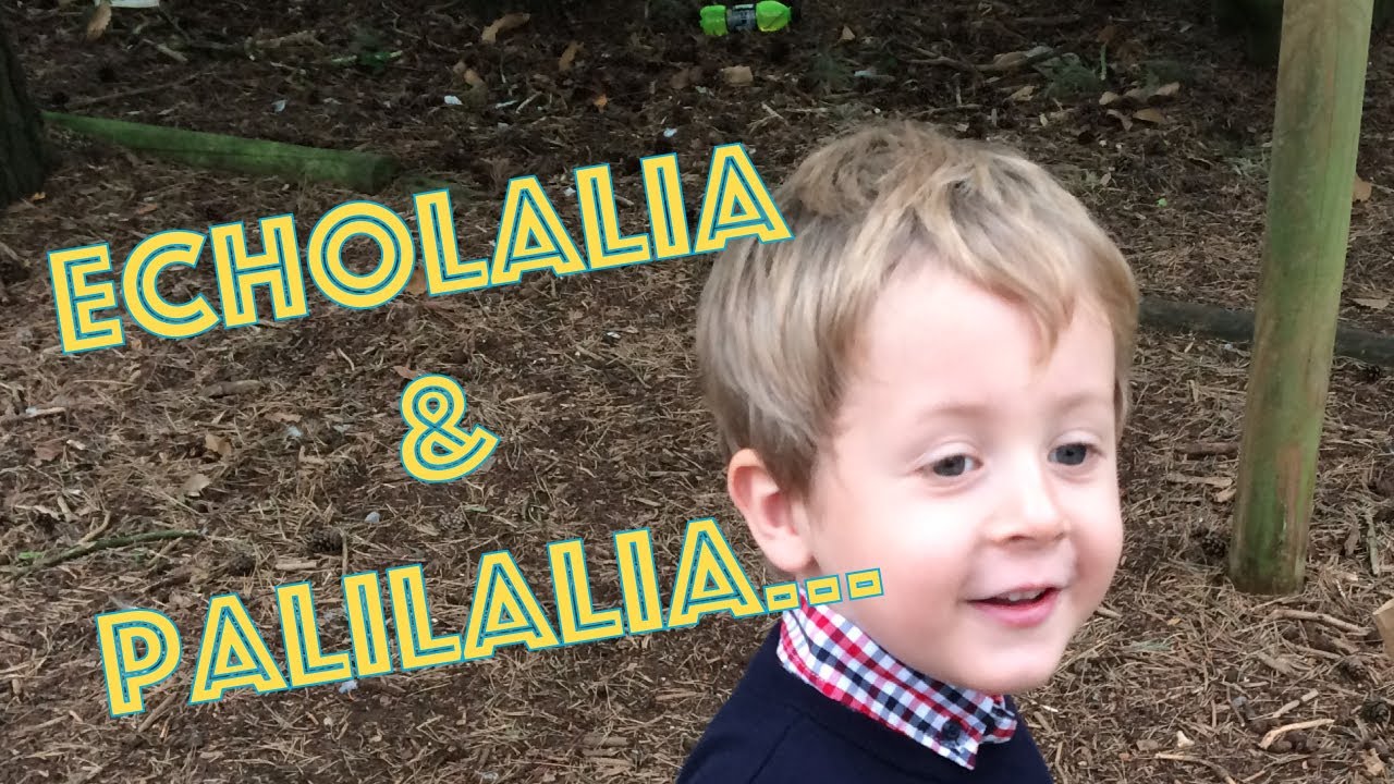 Echolalia & Palilalia | What does Echolalia sound like | Autism Awareness | ASD | Child Speech Delay