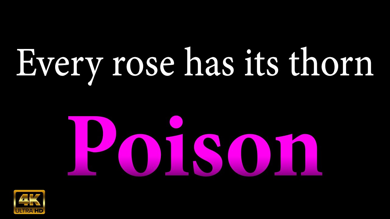 Every rose has its thorn KARAOKE -  Poison