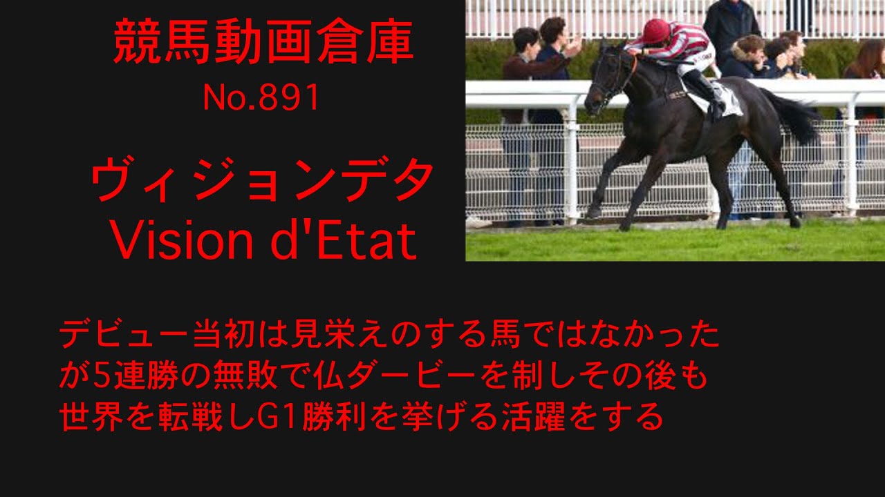 【競馬】ヴィジョンデタ　Vision d'Etat【No891】