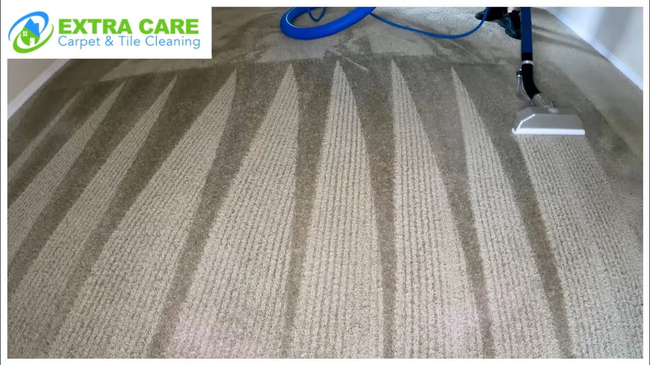 Smooth Wand Stroke Carpet Cleaning in Longwood, FL – Deep Clean Demo