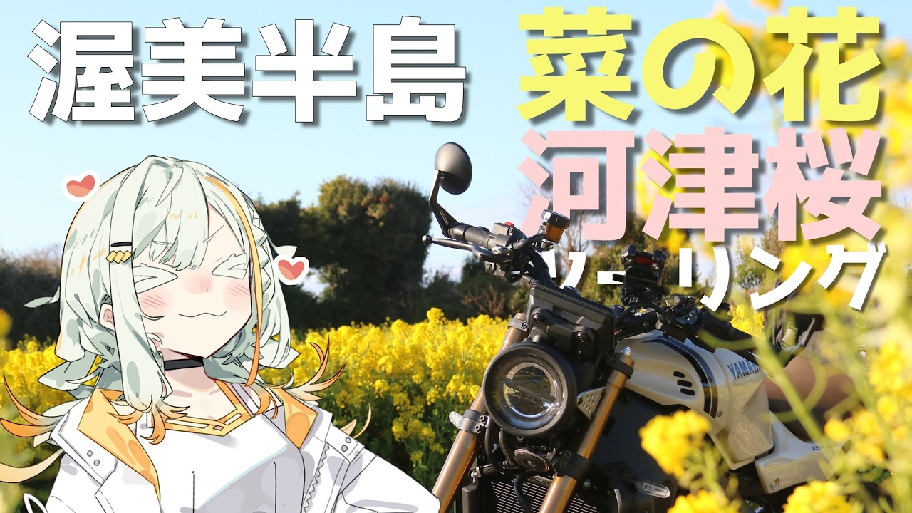 【VOICEROID車載】　愛知県 渥美半島　菜の花・河津桜ツーリング　【XSR900】