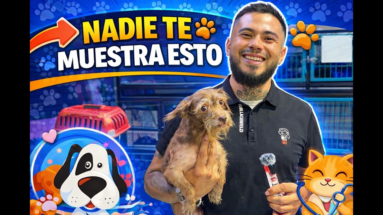 NADIE TE MUESTRA ESTO EN UNA VETERINARIA 🐶🐾