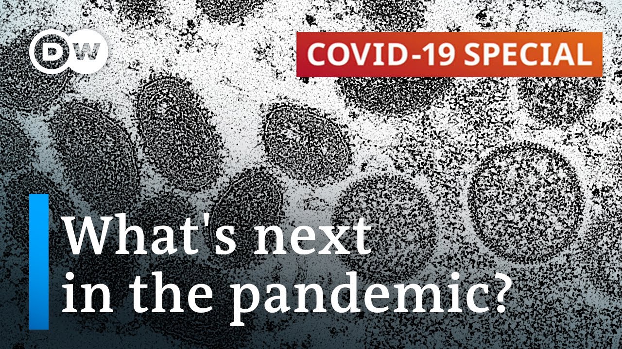 Lessons for monkey pox from the last pandemic? | COVID-19 Special