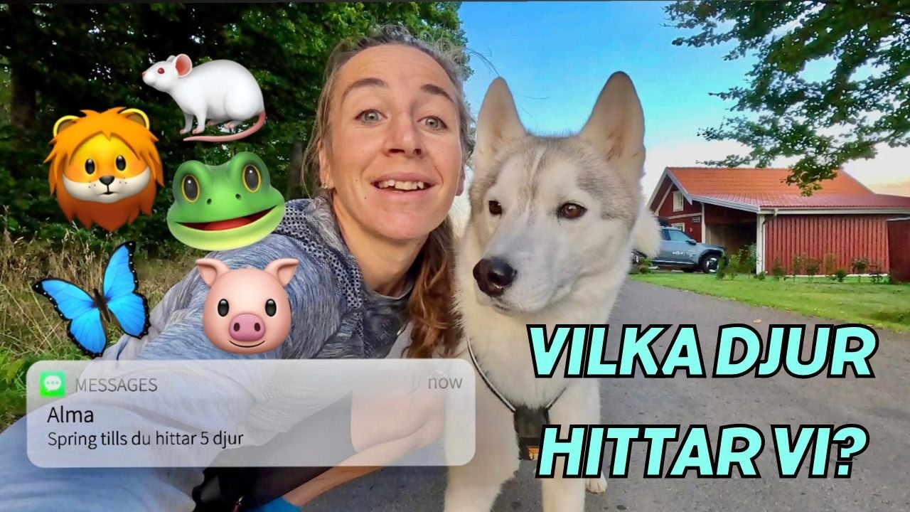 SPRING TILLS DU HITTAR 5 OLIKA DJUR