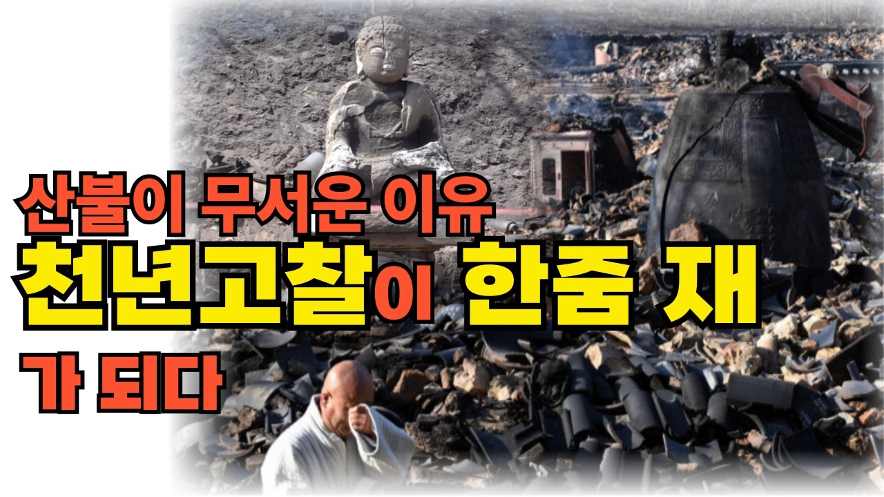부처님, 정말 죄송합니다. 의성 산불로 사라진 너무 아름다운 사찰 다시보기(운람사, 만장사, 고운사)