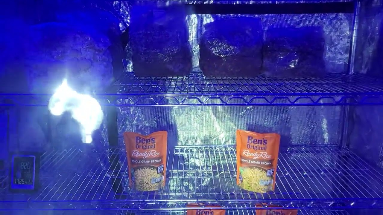 Mushrooms, Tiger King??? & Highland Community College Settlements.