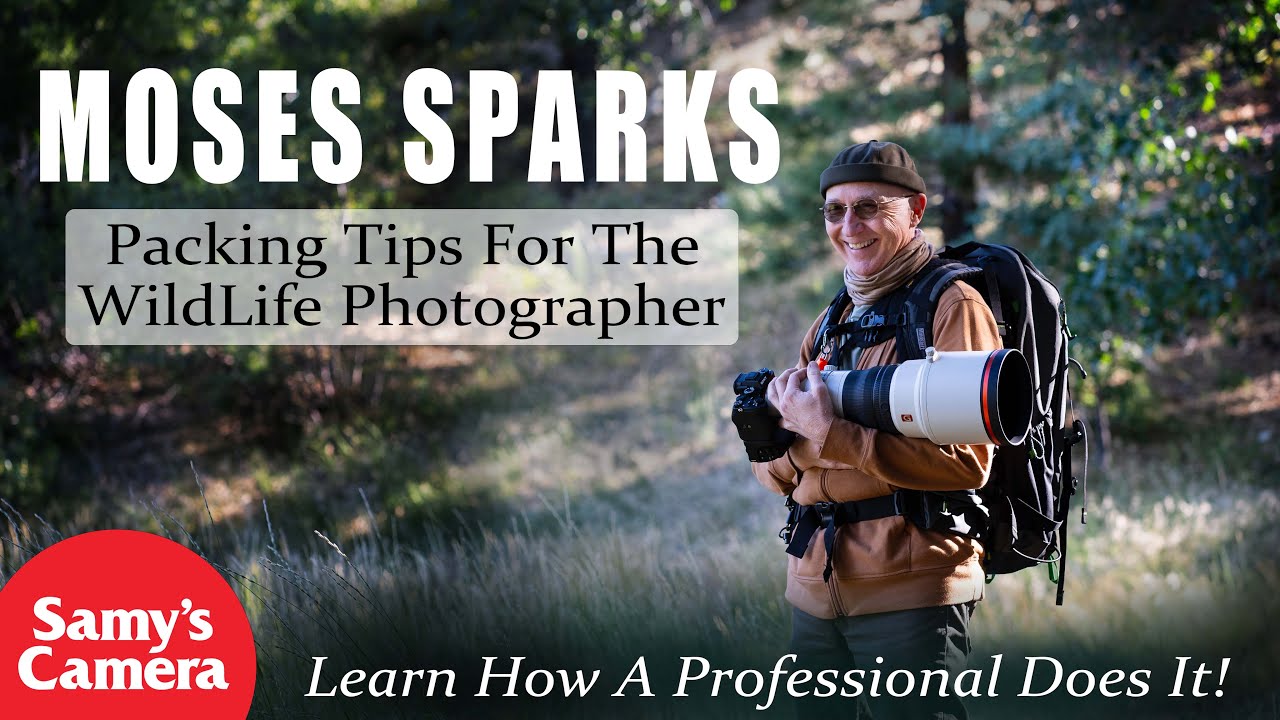 How To Pack Your Gear For Travel As A Wildlife Photographer