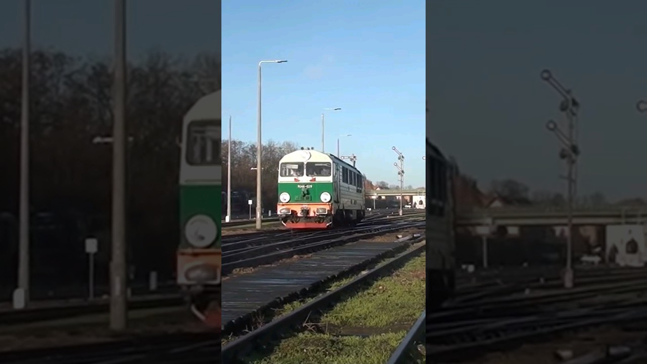 Ostatnia Jazda SU46-029 #train #z&uuml;ge #vlaky #retro #dieselengine #wolsztyn #special #shorts