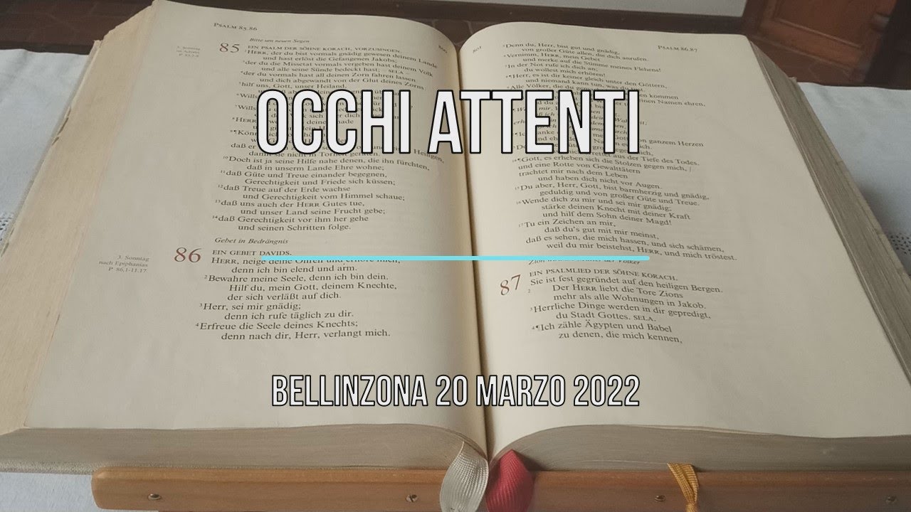 Occhi attenti