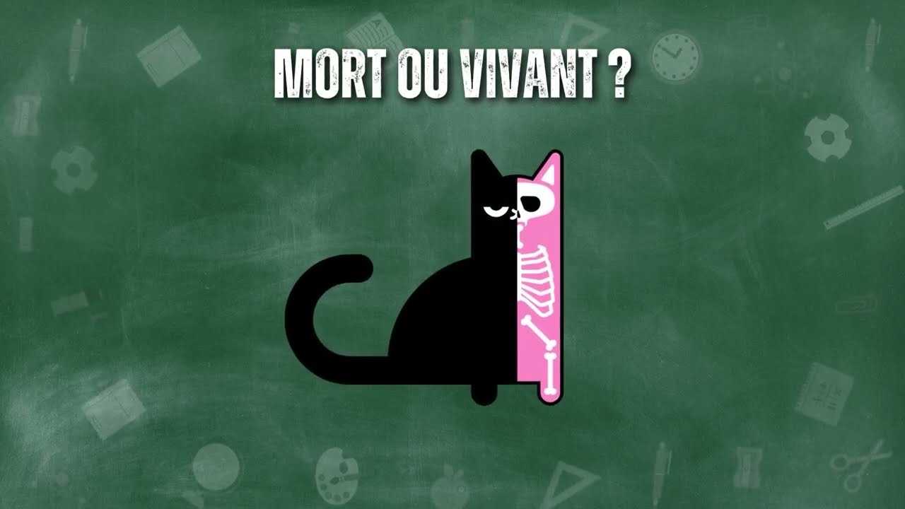 Le Chat de Schr&ouml;dinger : Mort ou Vivant ? D&eacute;couvrez le Paradoxe