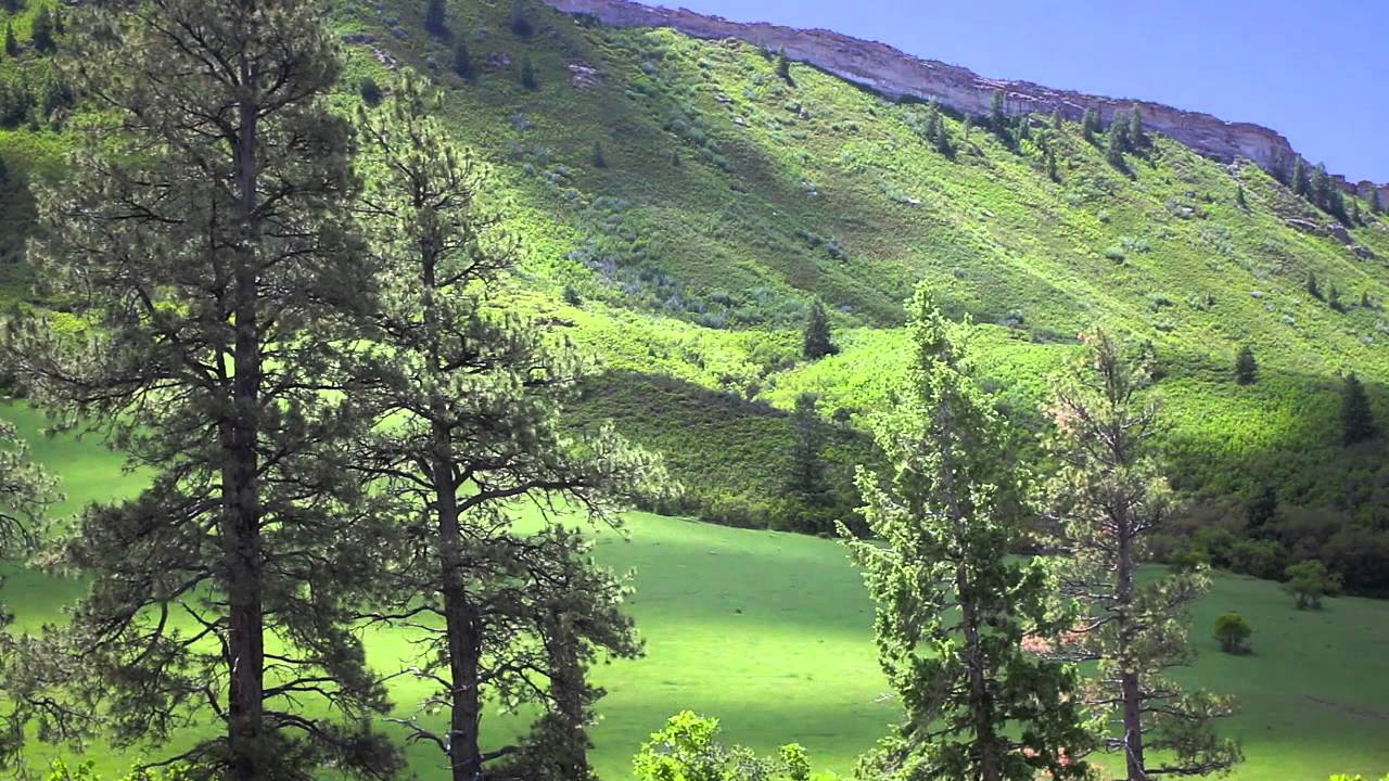 El Dorado Ranch – Durango Colorado real estate - river property