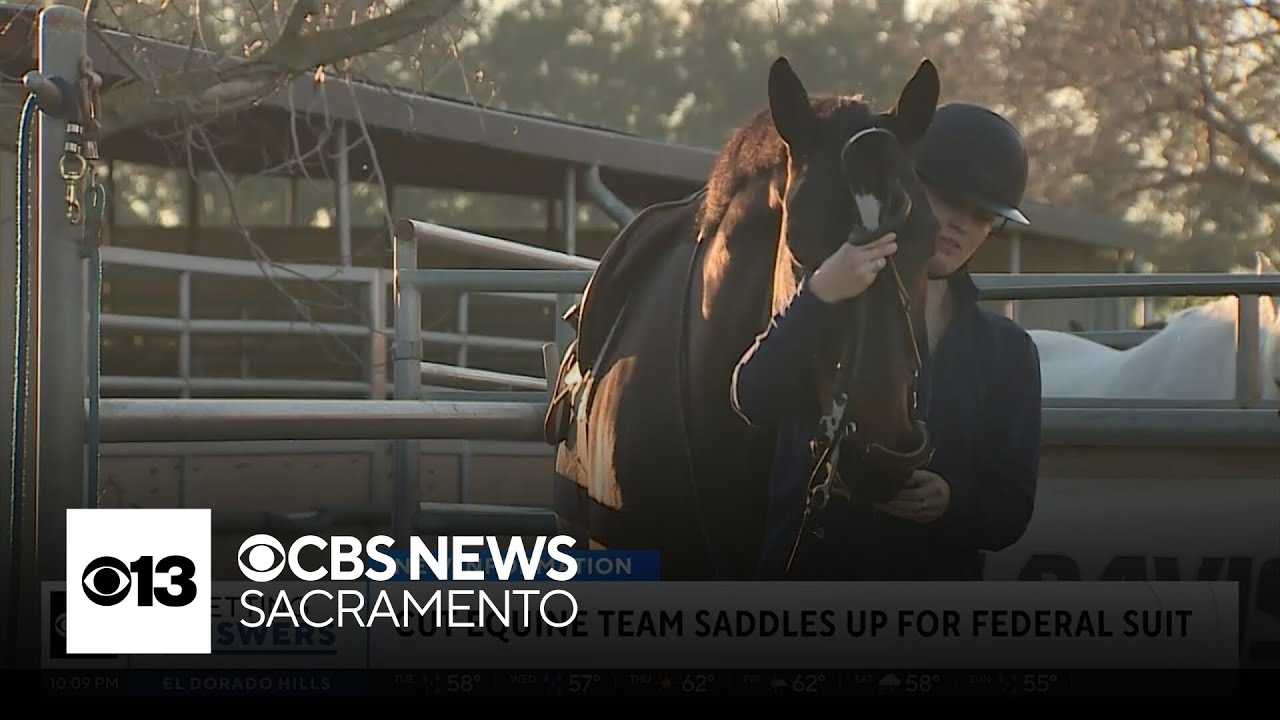 UC Davis equestrian team sues university over decision to cut varsity program