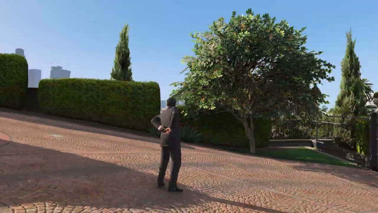 Melee and Pistol Pull out Animation (MOD)