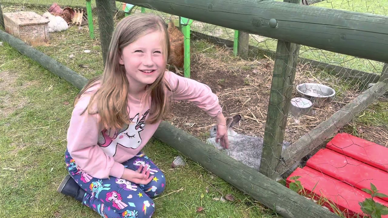 Visiting Springfields Fun Park & Pony Centre