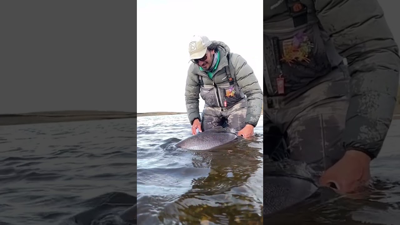 Rio Gallegos - Home to the biggest Sea Trout in the world. 🌎🎣🇦🇷