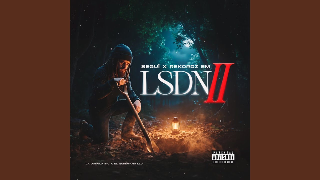 LSDN II